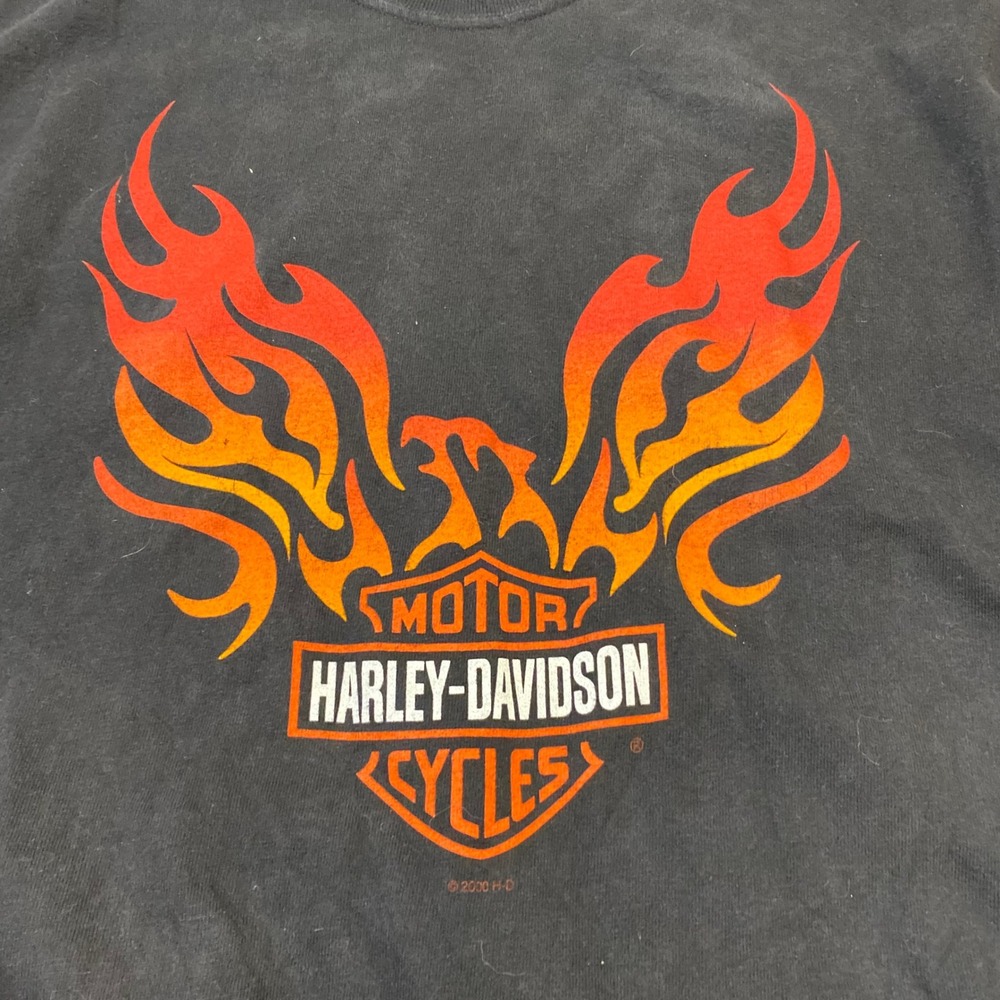 Vintage Harley Davidson Wabash Valley Terre Haute Indiana Eagle Flame Shirt XL - Picture 2 of 4